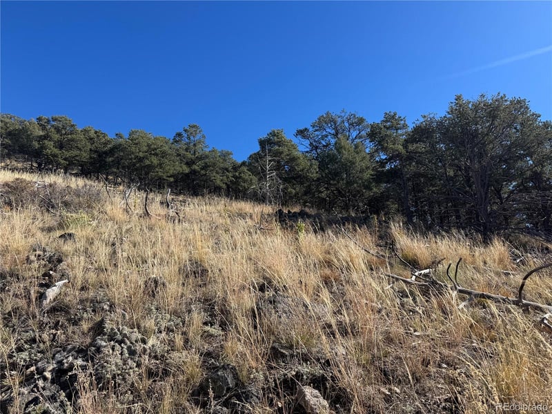 0 G Pa, Cotopaxi, CO 81223