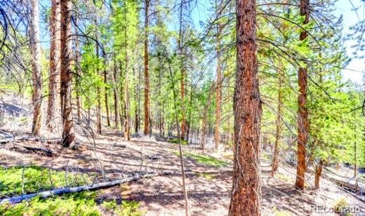 1111 Lamartine Rd, Georgetown, CO 80444