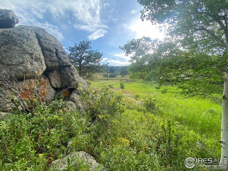 24 Hickok Trl, Ward, CO 80481