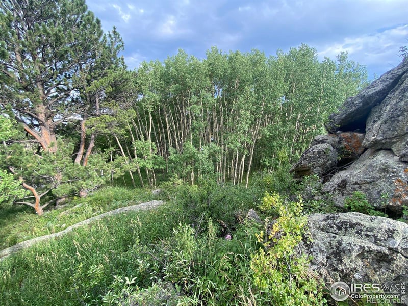 24 Hickok Trl, Ward, CO 80481