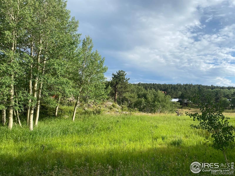 24 Hickok Trl, Ward, CO 80481