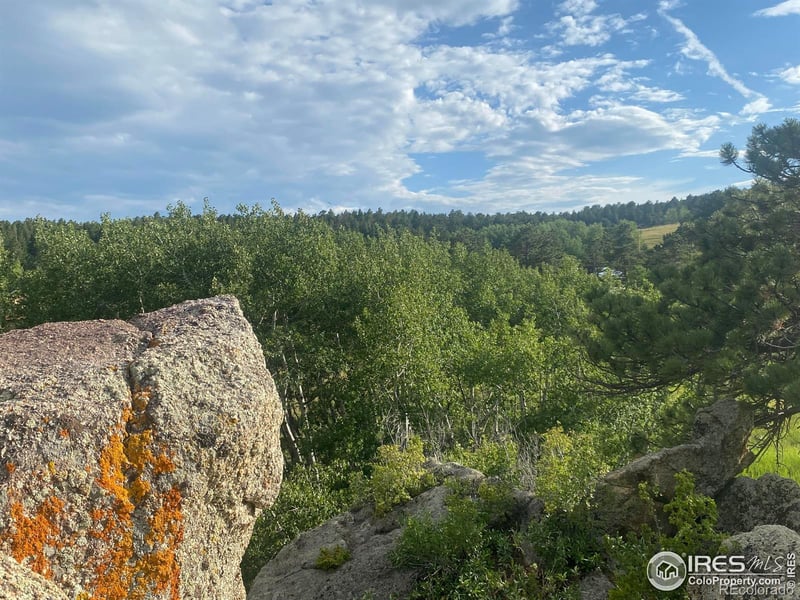 24 Hickok Trl, Ward, CO 80481