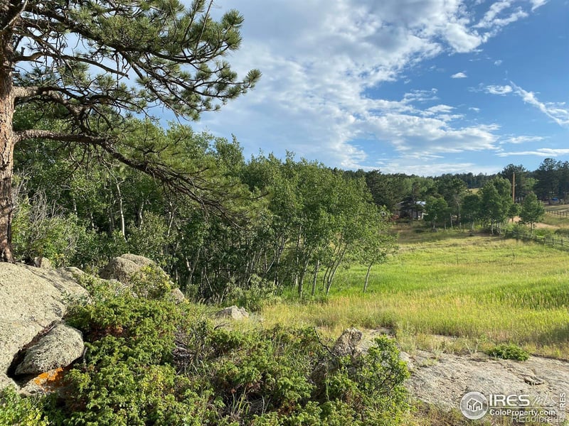 24 Hickok Trl, Ward, CO 80481