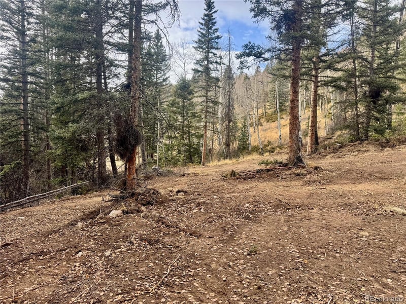 Ryland Rd, San Luis, CO 81152