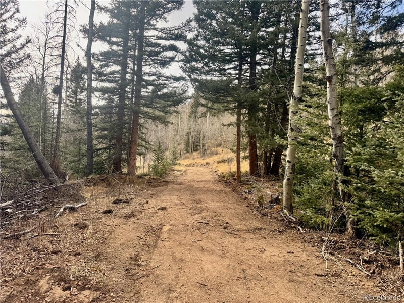 Ryland Rd, San Luis, CO 81152