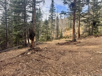 Ryland Rd, San Luis, CO 81152