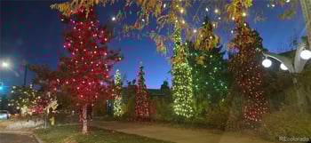 1365 Columbine St #102, Denver, CO 80206