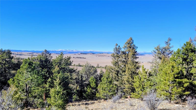 Tbd Tonkawa Rd, Hartsel, CO 80449