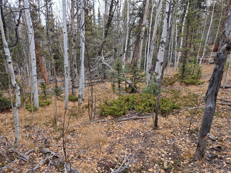 210 Tepee Trl, Como, CO 80432