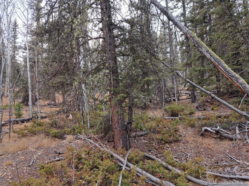 210 Tepee Trl, Como, CO 80432