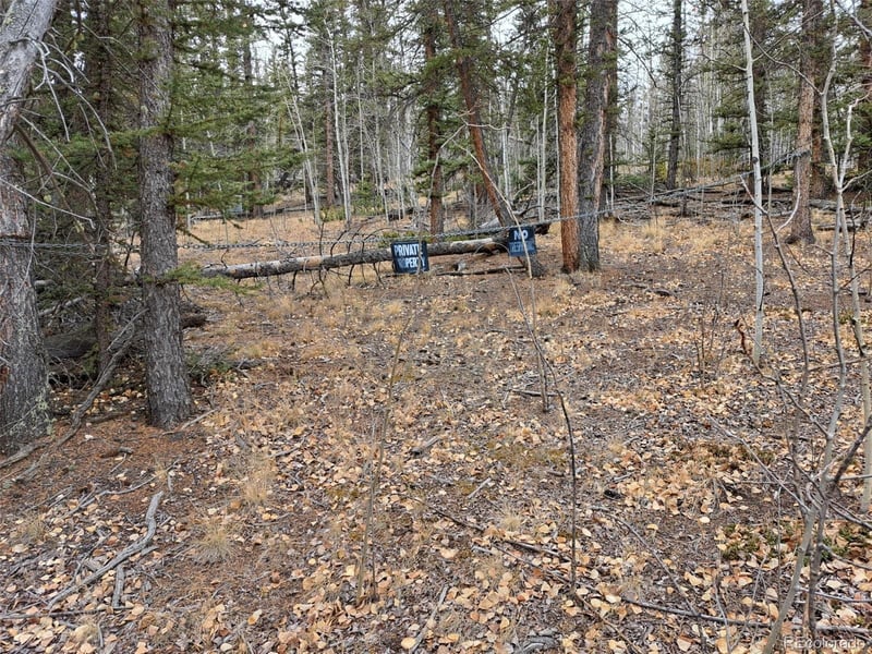 210 Tepee Trl, Como, CO 80432