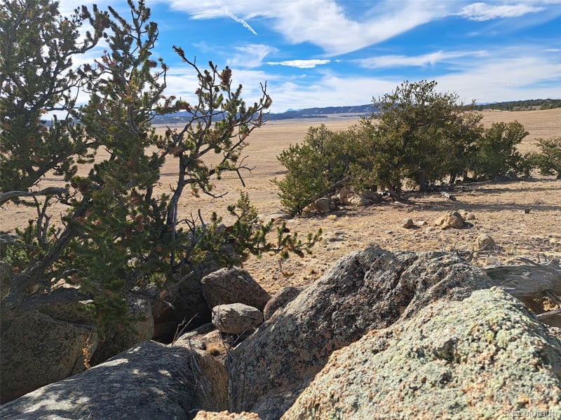 1282 Ute Tc, Hartsel, CO 80449