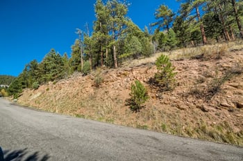 Elsie Rd, Conifer, CO 80433