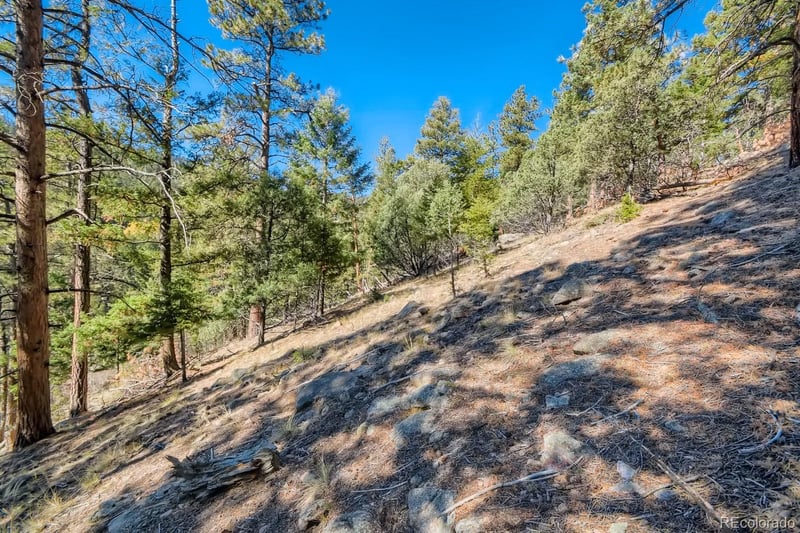 Elsie Rd, Conifer, CO 80433