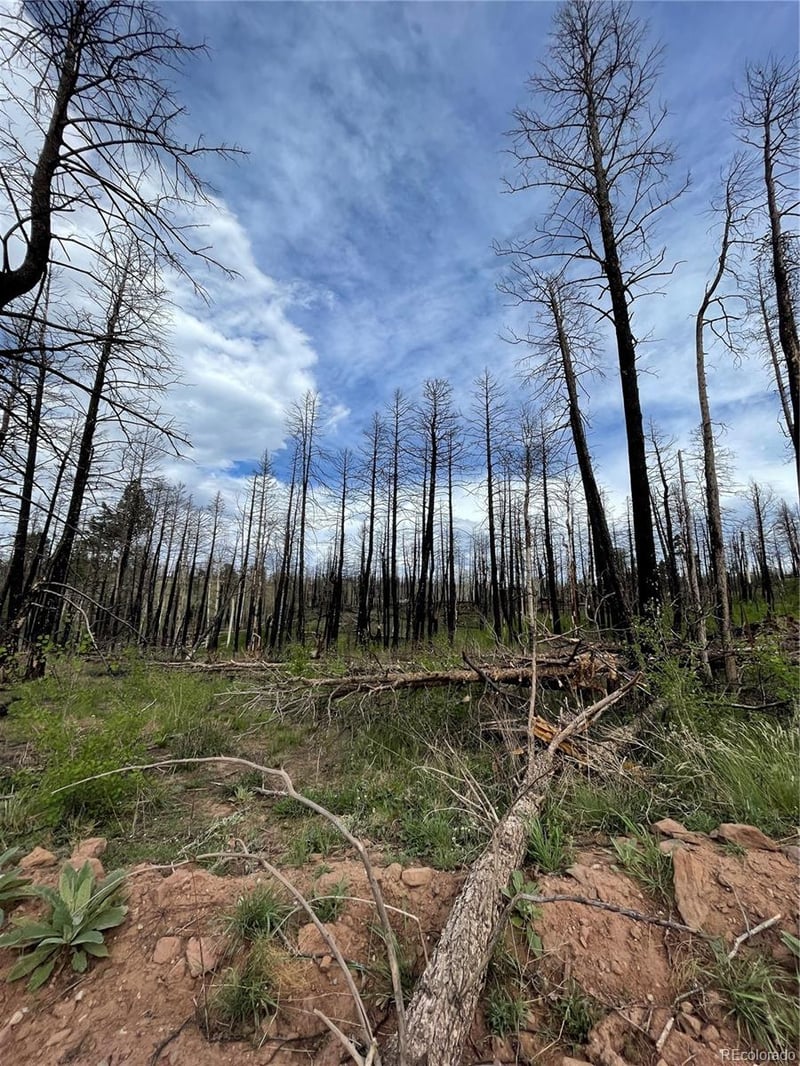 986 Levy Pl, Fort Garland, CO 81133