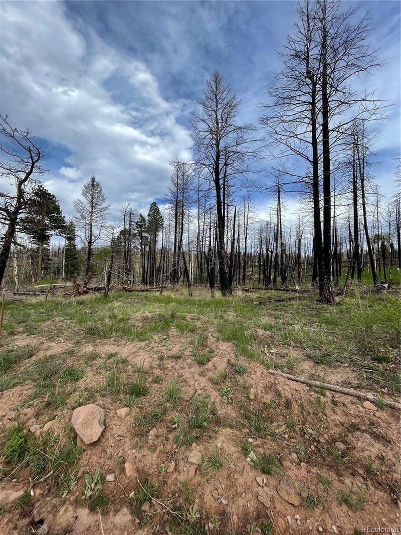 986 Levy Pl, Fort Garland, CO 81133