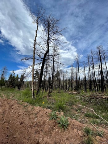 986 Levy Pl, Fort Garland, CO 81133