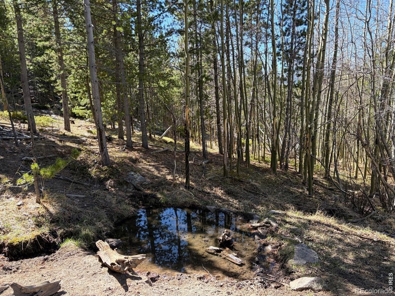 Bear Gulch Rd, Red Feather Lakes, CO 80545