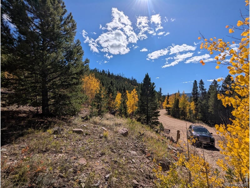 Bear Gulch Rd, Red Feather Lakes, CO 80545