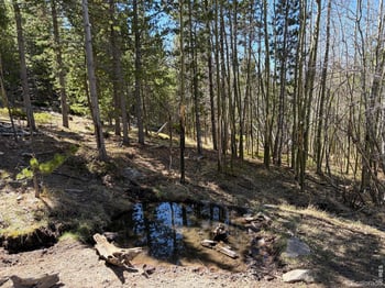 Bear Gulch Rd, Red Feather Lakes, CO 80545