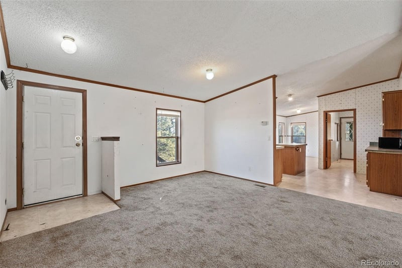 1711 Witcher Mountain Rd, Guffey, CO 80820