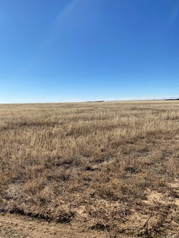 None , Rush, CO 80833