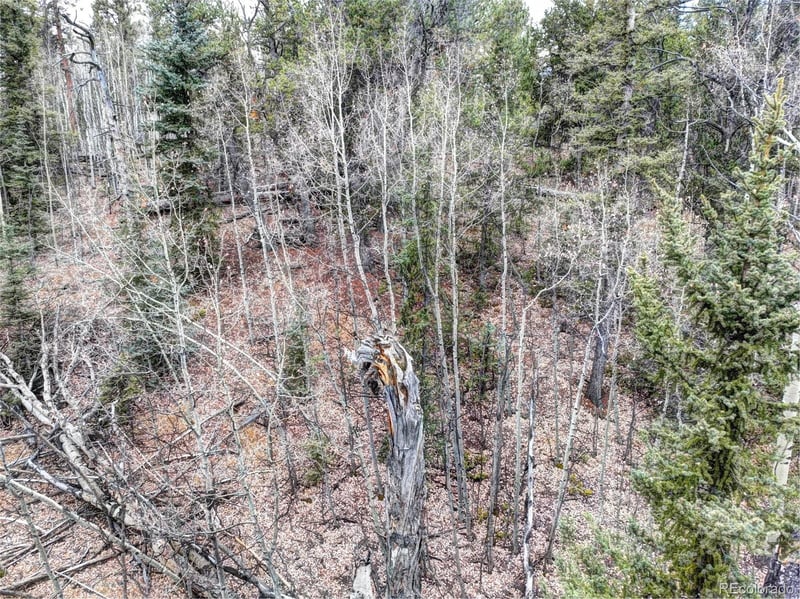 646 Antelope Way, Como, CO 80432