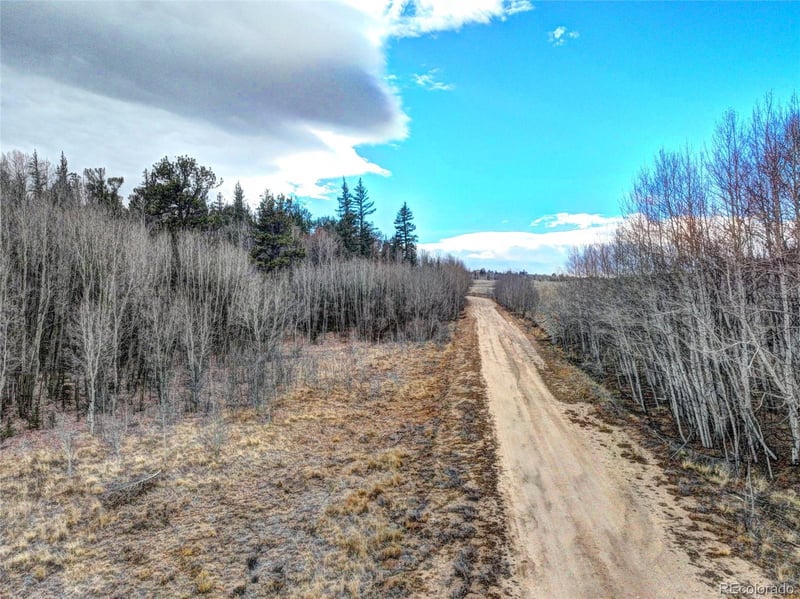 646 Antelope Way, Como, CO 80432