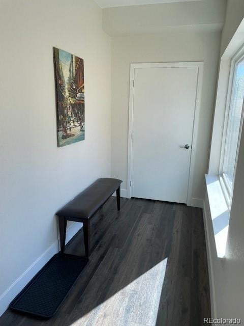 1204 Reed Way, Lakewood, CO 80232