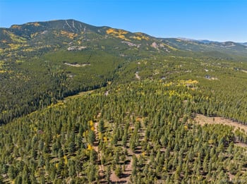 31334 Forest Shadow Trl, Conifer, CO 80433