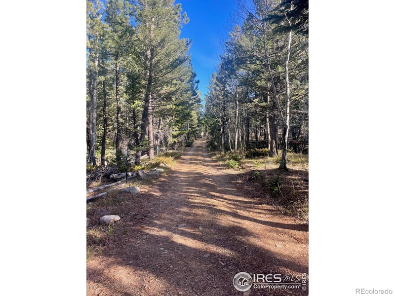 399 Skinner Rd, Allenspark, CO 80510