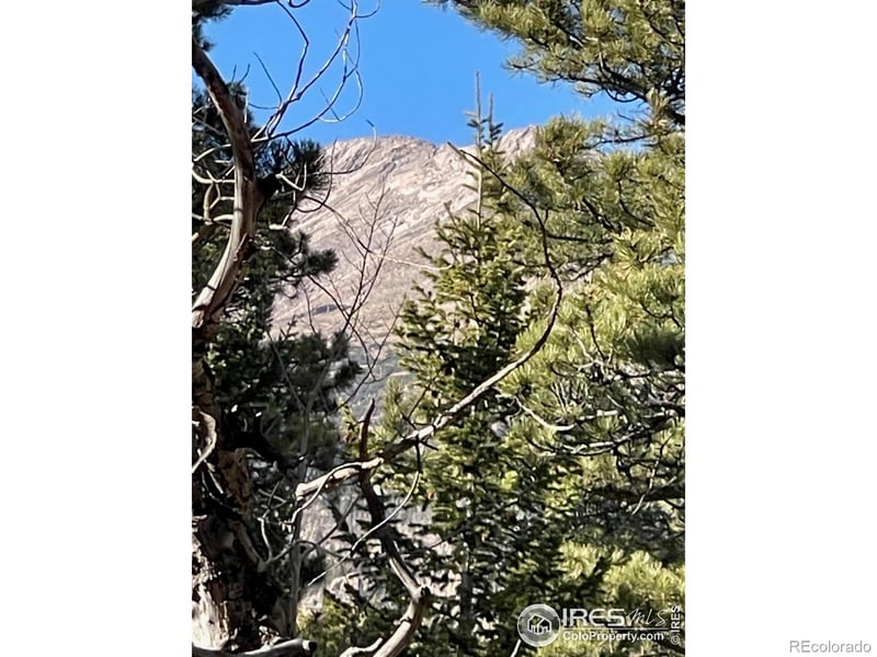 399 Skinner Rd, Allenspark, CO 80510