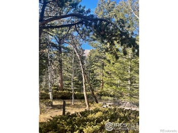 399 Skinner Rd, Allenspark, CO 80510