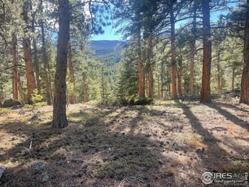 399 Skinner Rd, Allenspark, CO 80510