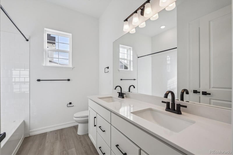 1180 Weller St, Timnath, CO 80547