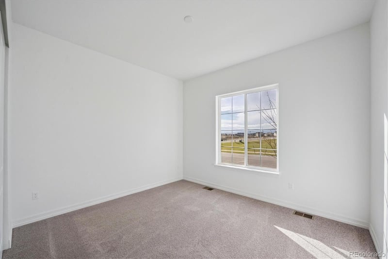 1180 Weller St, Timnath, CO 80547