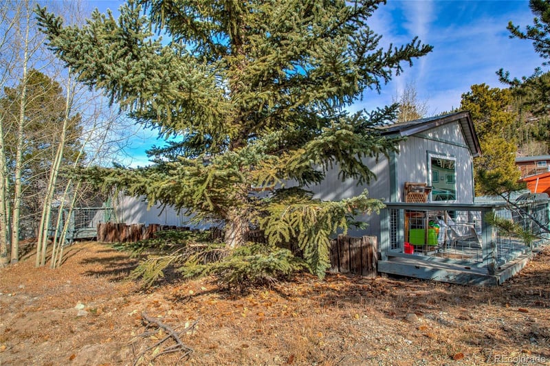 56 Magnum Bonum Dr, Breckenridge, CO 80424