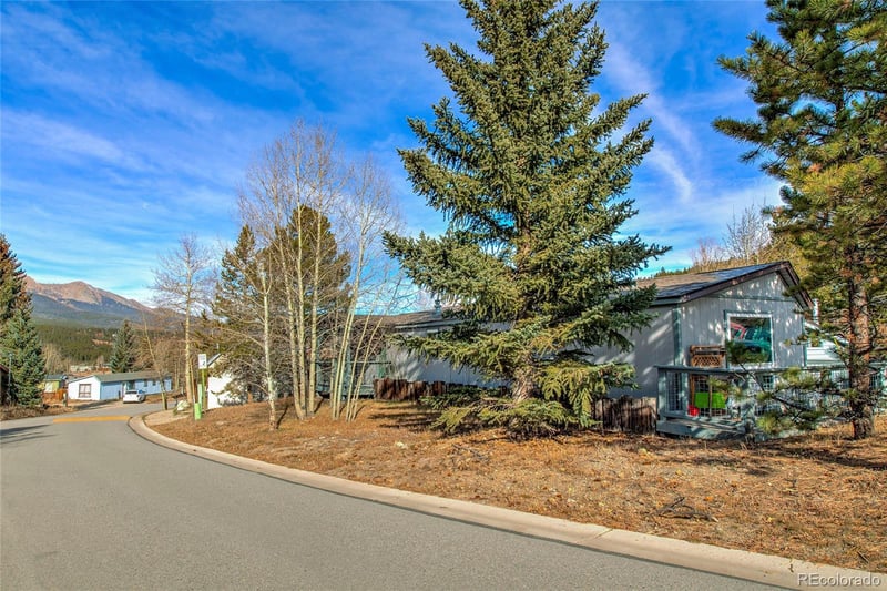 56 Magnum Bonum Dr, Breckenridge, CO 80424