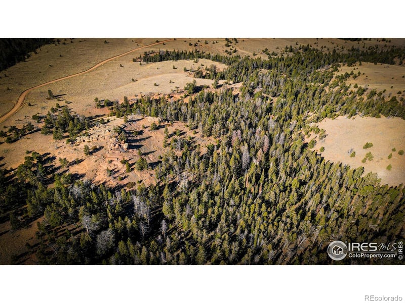Wilderness Ranch Rd, Red Feather Lakes, CO 80545
