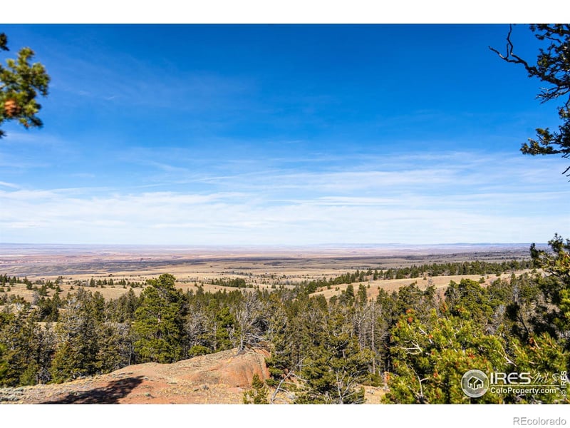 Wilderness Ranch Rd, Red Feather Lakes, CO 80545