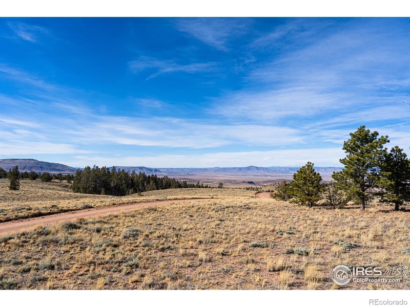 Wilderness Ranch Rd, Red Feather Lakes, CO 80545