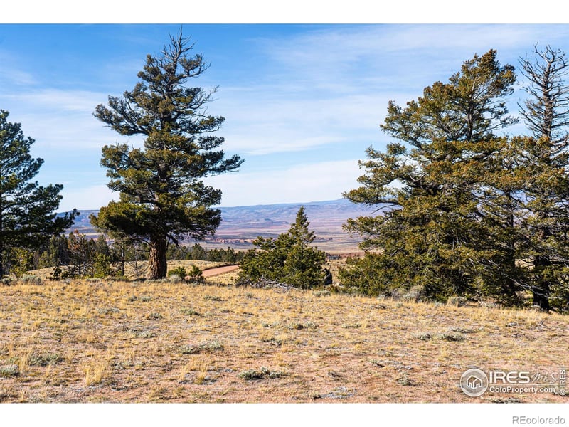 Wilderness Ranch Rd, Red Feather Lakes, CO 80545