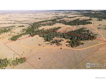 Wilderness Ranch Rd, Red Feather Lakes, CO 80545