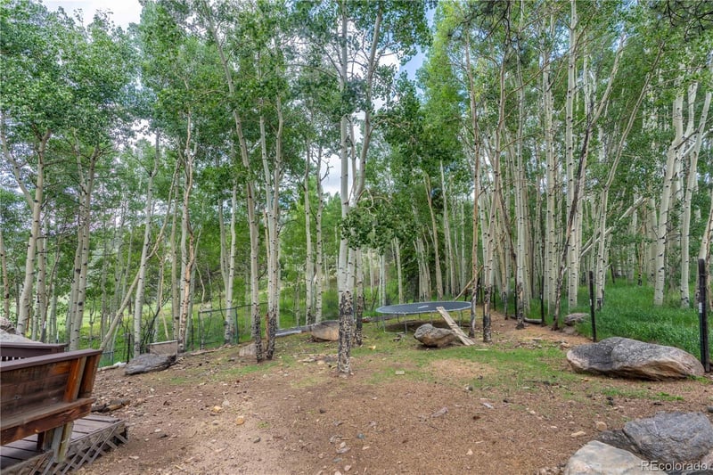 80 Heide Rd, Shawnee, CO 80475