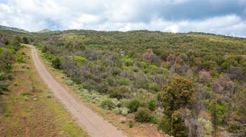 18975 Elk Reserve Rd, Glade Park, CO 81523