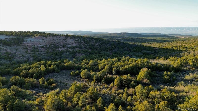 18975 Elk Reserve Rd Lot 13, Glade Park, CO 81523