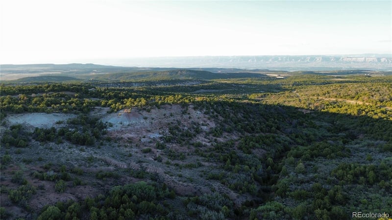 18975 Elk Reserve Rd Lot 13, Glade Park, CO 81523