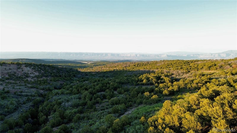 18975 Elk Reserve Rd Lot 13, Glade Park, CO 81523
