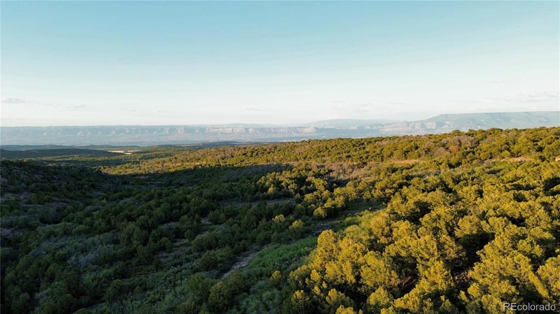 18975 Elk Reserve Rd Lot 13, Glade Park, CO 81523