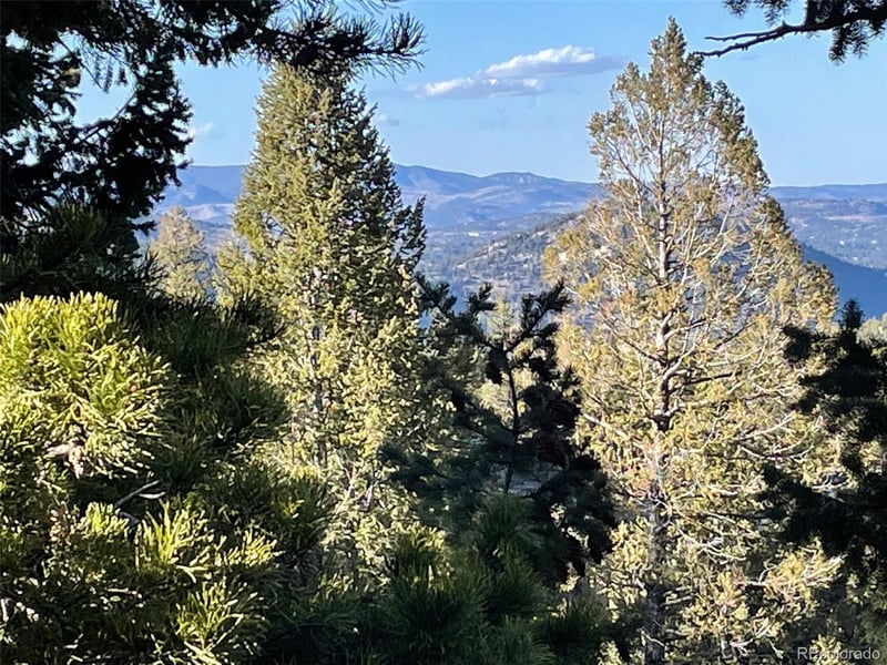 33131 Lynx Ln, Evergreen, CO 80439
